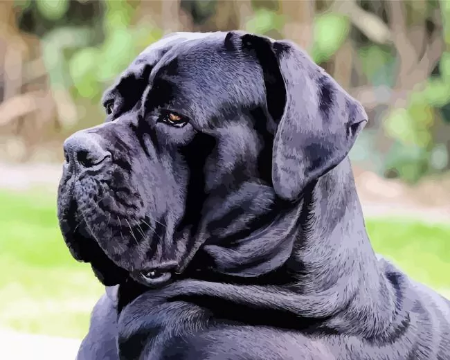 dog cane corso Diamond Paintings Dog Cane Corso Diamond Painting