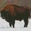 European Bison Diamond Painting
