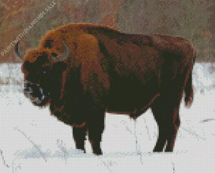 european Bison Diamond By Numbers European Bison Diamond Painting