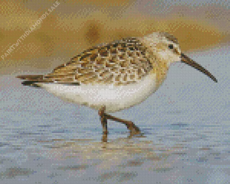 fluffy Sandpiper Diamond Dotz Fluffy Sandpiper Diamond Painting