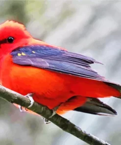 Fluffy Scarlet Tanager Diamond Painting
