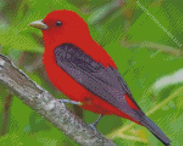 fluffy Scarlet Tanager bird Diamond Dotz Fluffy Scarlet Tanager Bird Diamond Painting