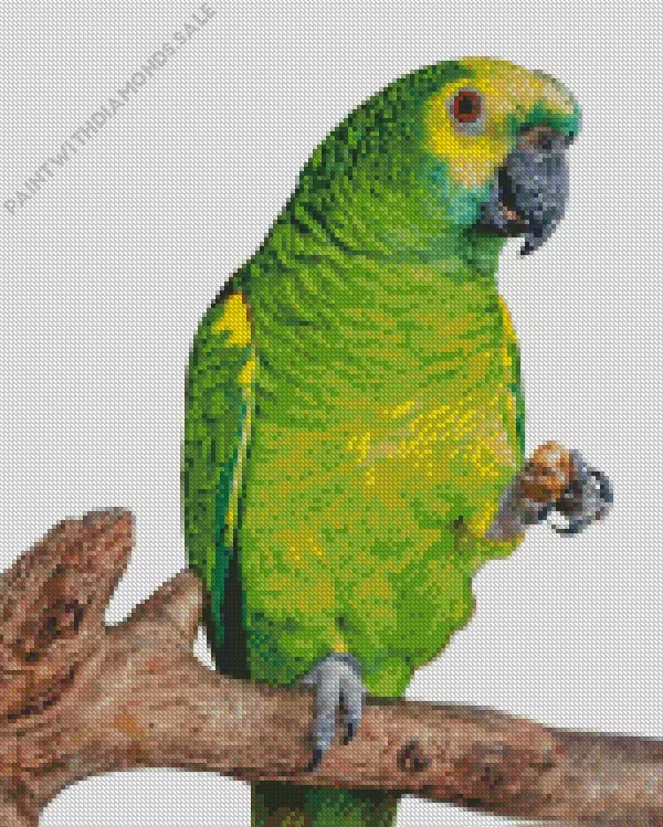 fluffy White Fronted Amazon Diamond Dotz Fluffy White Fronted Amazon Diamond Painting