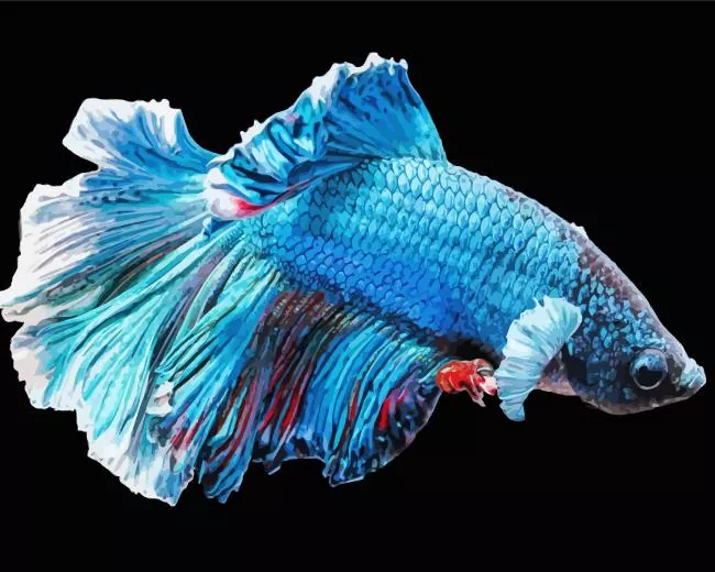 fluffy blue Siamese fighting fish Diamond With Numbers Fluffy Blue Siamese Fighting Fish Diamond Painting