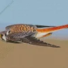 Flying American Kestrel Diamond Painting