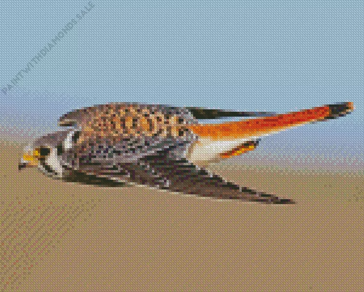 flying American Kestrel Diamond Paints Flying American Kestrel Diamond Painting