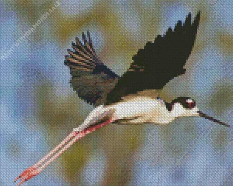 flying Black Necked Stilt Diamond By Numbers Flying Black Necked Stilt Diamond Painting