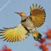Flying Gilded Flicker Diamond Painting