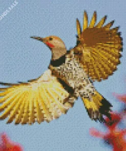 Flying Gilded Flicker Diamond Painting