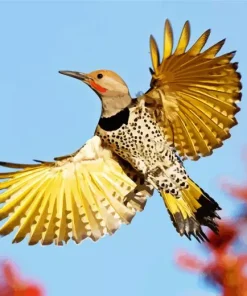 Flying Gilded Flicker Diamond Painting