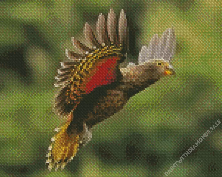 flying Kea Bird Diamond Dotz Flying Kea Bird Diamond Painting
