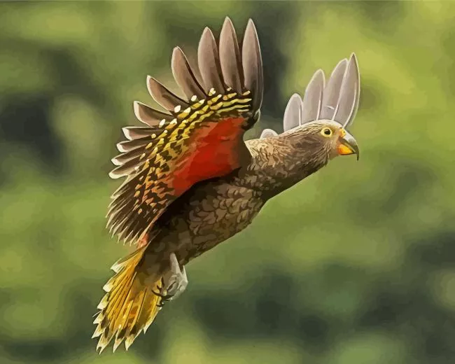 flying Kea Bird Diamond With Numbers Flying Kea Bird Diamond Painting