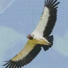 Flying King Vulture Diamond Painting