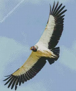Flying King Vulture Diamond Painting