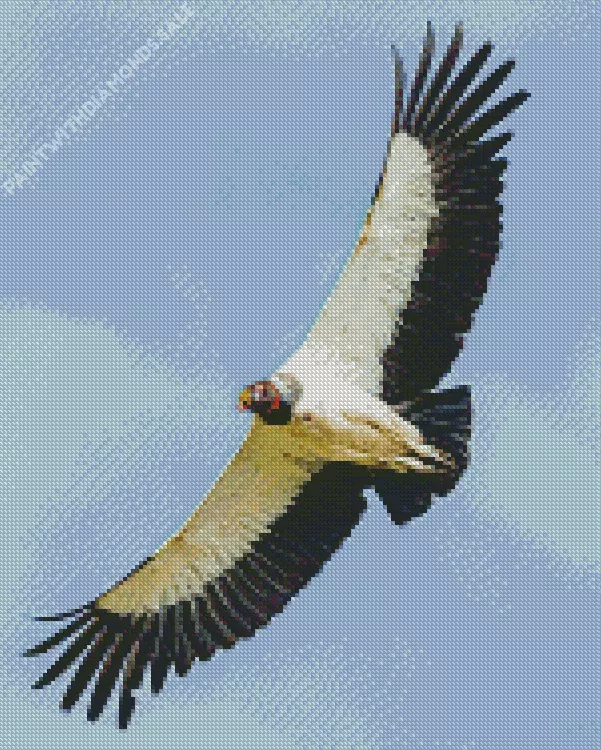 flying King Vulture Diamond Dotz Flying King Vulture Diamond Painting