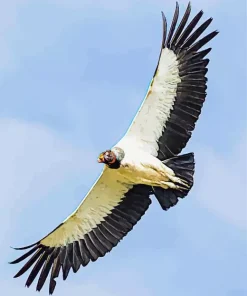 Flying King Vulture Diamond Painting