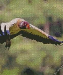 Flying King Vulture Bird Diamond Painting