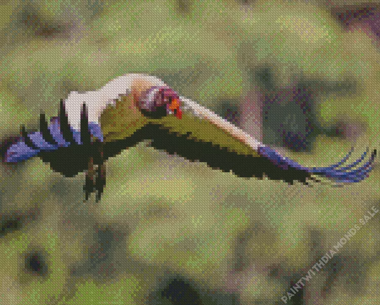 flying King Vulture bird Diamond Dotz Flying King Vulture Bird Diamond Painting