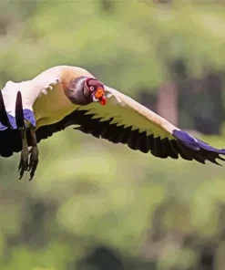 Flying King Vulture Bird Diamond Painting
