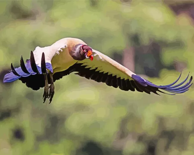 flying King Vulture bird Diamond With Numbers Flying King Vulture Bird Diamond Painting