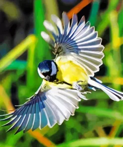 Flying Parus Bird Diamond Painting