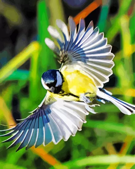flying Parus Bird Diamond With Numbers Flying Parus Bird Diamond Painting