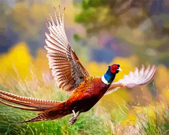 flying Pheasant Diamond By Numbers Flying Pheasant Diamond Painting