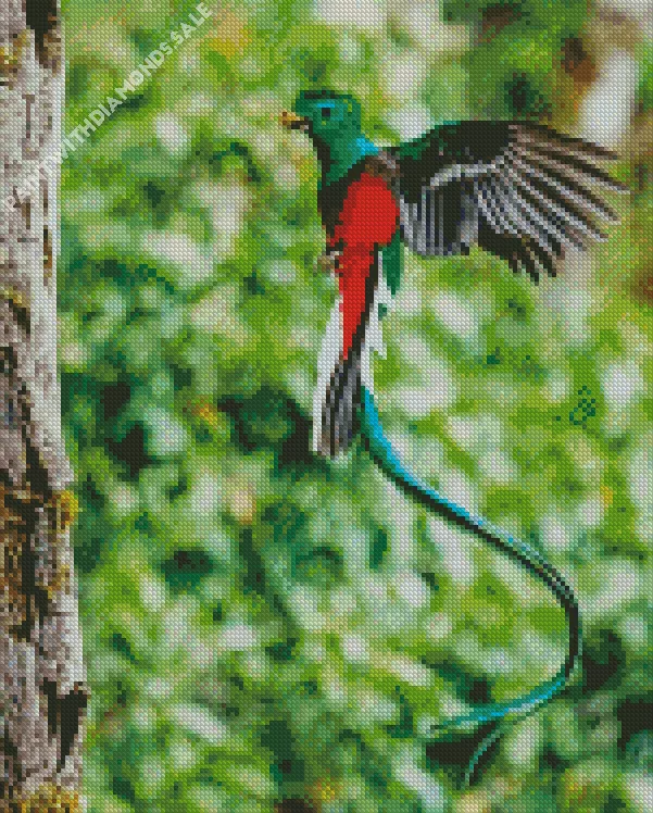 flying Resplendent Quetzal Bird Diamond Dotz Flying Resplendent Quetzal Bird Diamond Painting