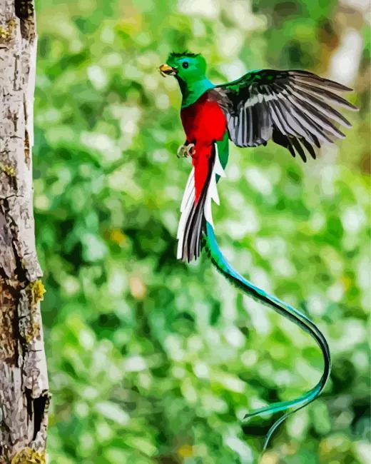 flying Resplendent Quetzal Bird Diamond Paintings Flying Resplendent Quetzal Bird Diamond Painting