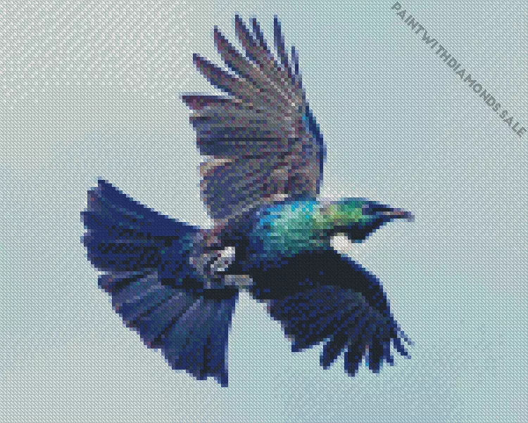 flying Tui bird Diamond By Numbers Flying Tui Bird Diamond Painting