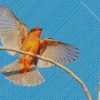 Flying Vermilion Flycatcher Diamond Painting