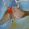 Flying Vermilion Flycatcher Bird Diamond Painting