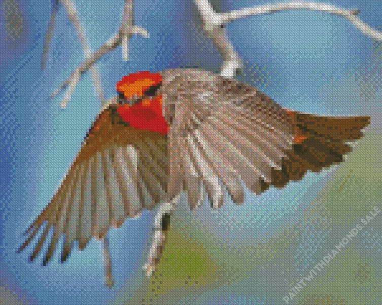 flying Vermilion Flycatcher bird Diamond By Numbers Flying Vermilion Flycatcher Bird Diamond Painting