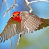 Flying Vermilion Flycatcher Bird Diamond Painting