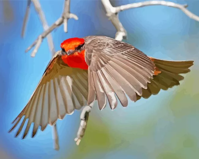 flying Vermilion Flycatcher bird Diamond Paints Flying Vermilion Flycatcher Bird Diamond Painting