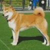 Friendly Shiba Inu Diamond Painting