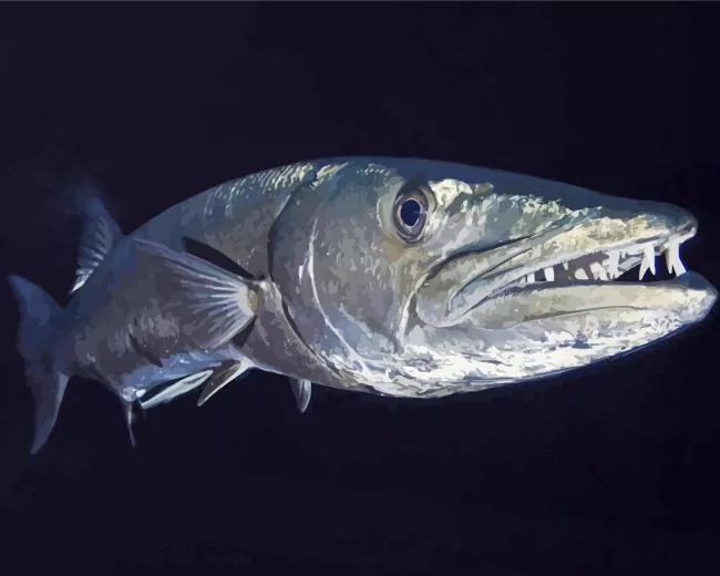 giant Barracuda Fish Diamond Paints Giant Barracuda Fish Diamond Painting