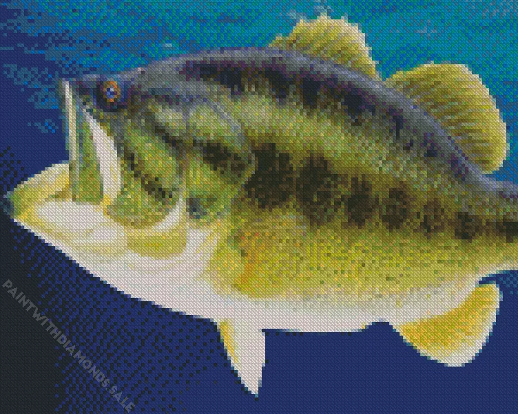 giant Bass fish Diamond Paintings Giant Bass Fish Diamond Painting
