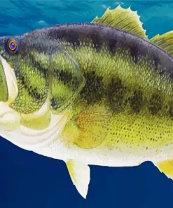 Giant Bass Fish Diamond Painting