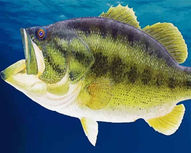 giant Bass fish Diamond With Numbers Giant Bass Fish Diamond Painting