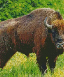 Giant Bison Diamond Painting