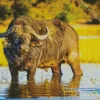 Giant Buffalo Diamond Painting