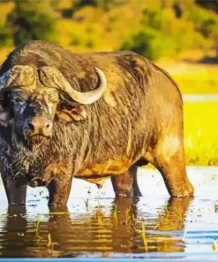 Giant Buffalo Diamond Painting