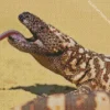 Giant Gila Monster Diamond Painting