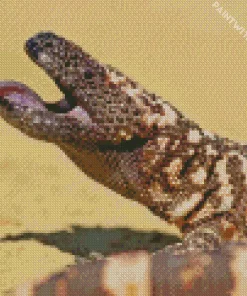 Giant Gila Monster Diamond Painting
