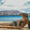 Giant Komodo Dragon Diamond Painting