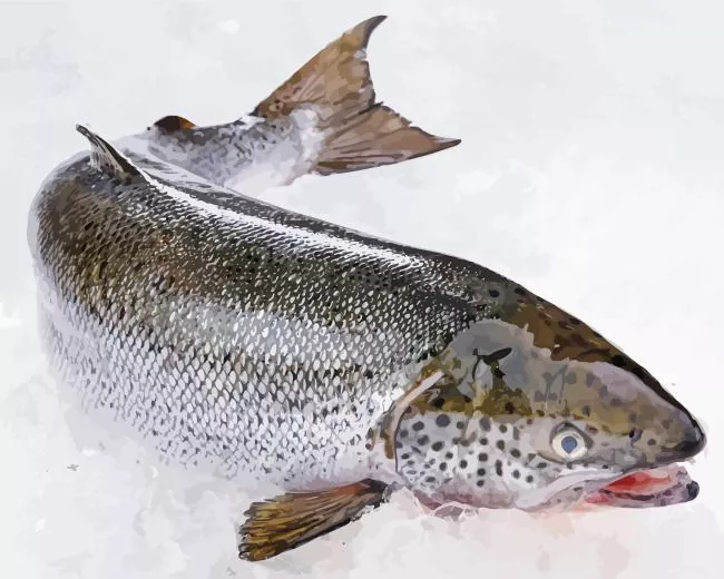 giant Salmon fish Diamond Paints Giant Salmon Fish Diamond Painting