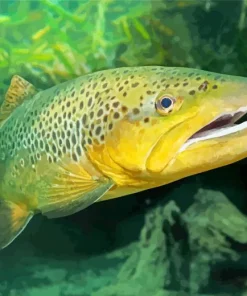 Giant Trout Fish Diamond Painting