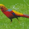 Golden Pheasant Diamond Painting