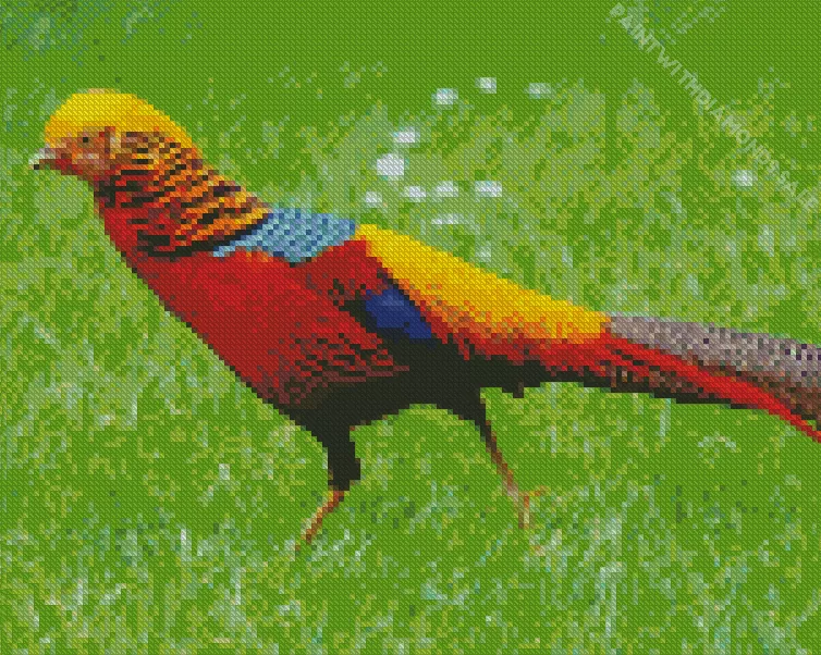 golden pheasant Diamond Paints Golden Pheasant Diamond Painting